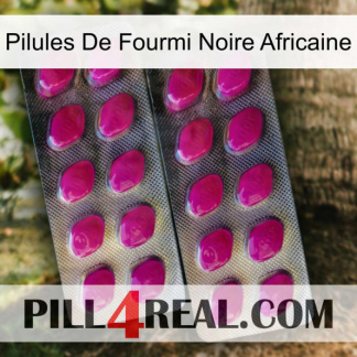 African Black Ant Pills 10